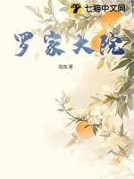 罗家小院怎么样
