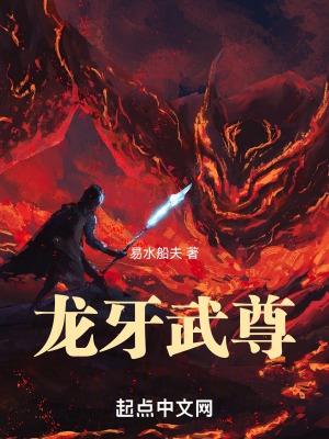 龙牙n2b
