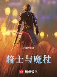 骑士与魔法原著