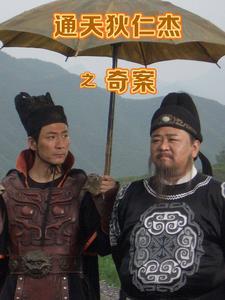 通天狄仁杰36集