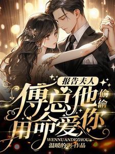 报告夫人傅总又来求复婚了章节