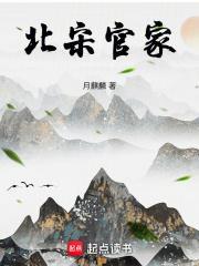 北宋官家好看吗