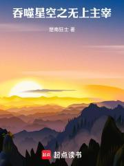 吞噬星空之无上主宰在线观看