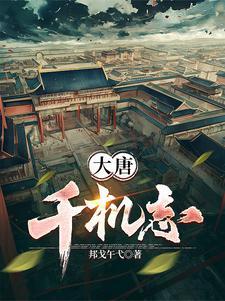 大唐征伐志