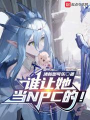 谁让她当npc的电子书阅读