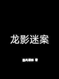 龙影文化传播有限公司