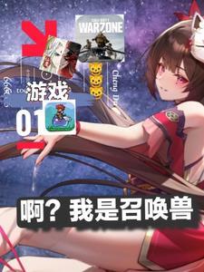 我当召唤兽那几年