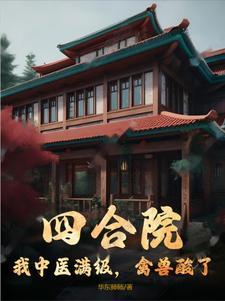四合院开局满级医术免费阅读