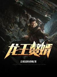 最豪赘婿TXT