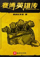 赛博英雄传同人
