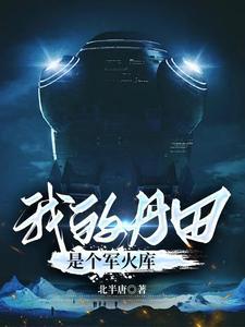 我的丹田里有手机txt