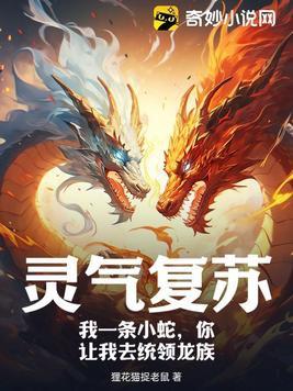 灵气复苏开局我是一道法则
