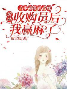 六零改嫁废品收购员后我赢麻了206