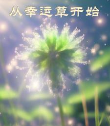 御兽开局进化洛奇亚全文阅读