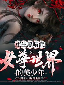 重生黑暗流女尊世界的美少年gl