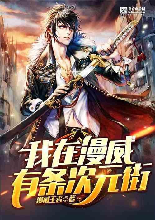 我在漫威有条次元街 笔趣阁