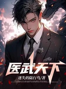 医武高手闯天下免费阅读