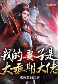 电视剧我的老婆是大款