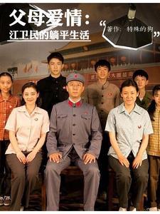 父母爱情电视剧图片