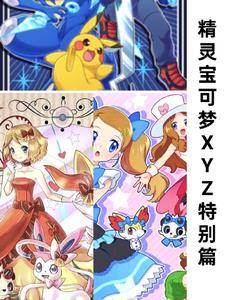 精灵宝可梦xyz第八集