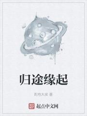 归途番外篇