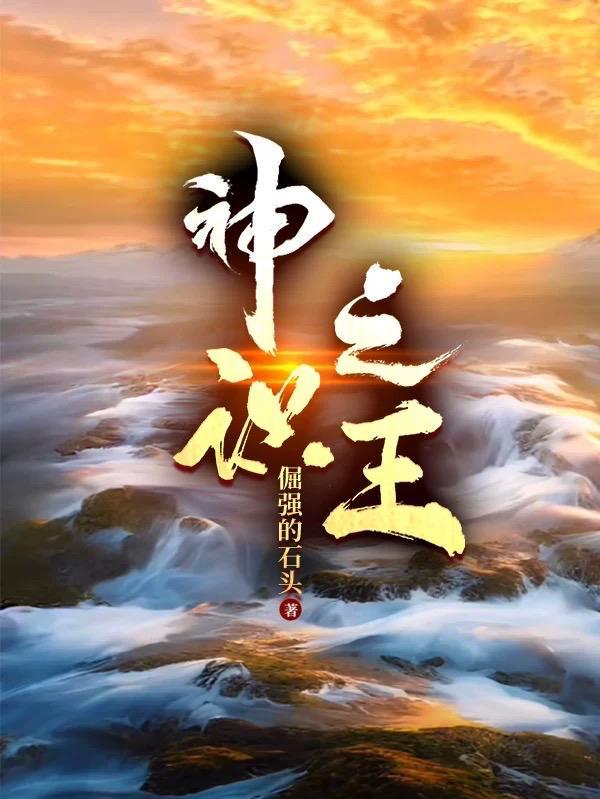 神王之王百度百科
