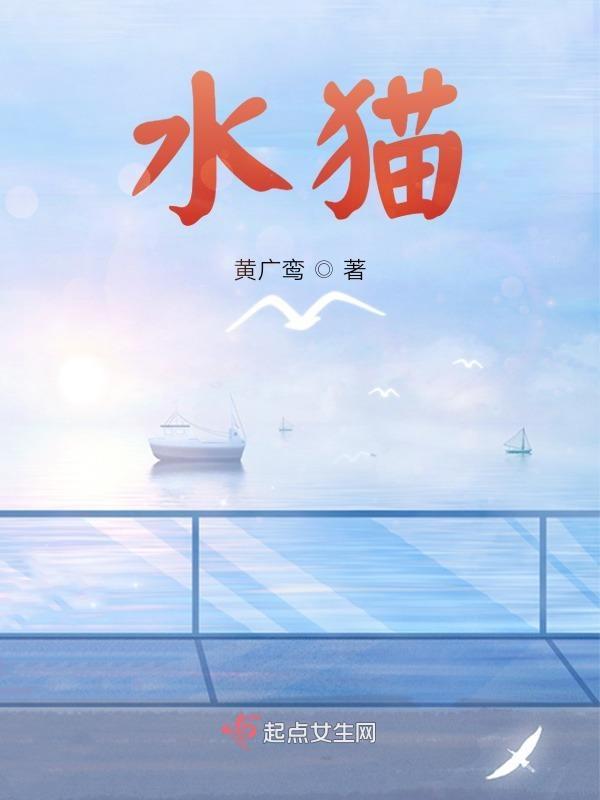 水塔猫