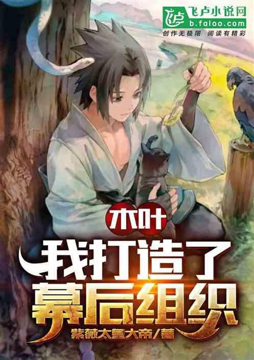 木叶我打造了幕后组织 TXT