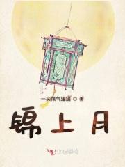锦上月鸣府