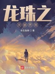 龙珠之超越巅峰