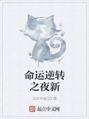 命运之逆转攻略