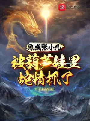 张小凡后来