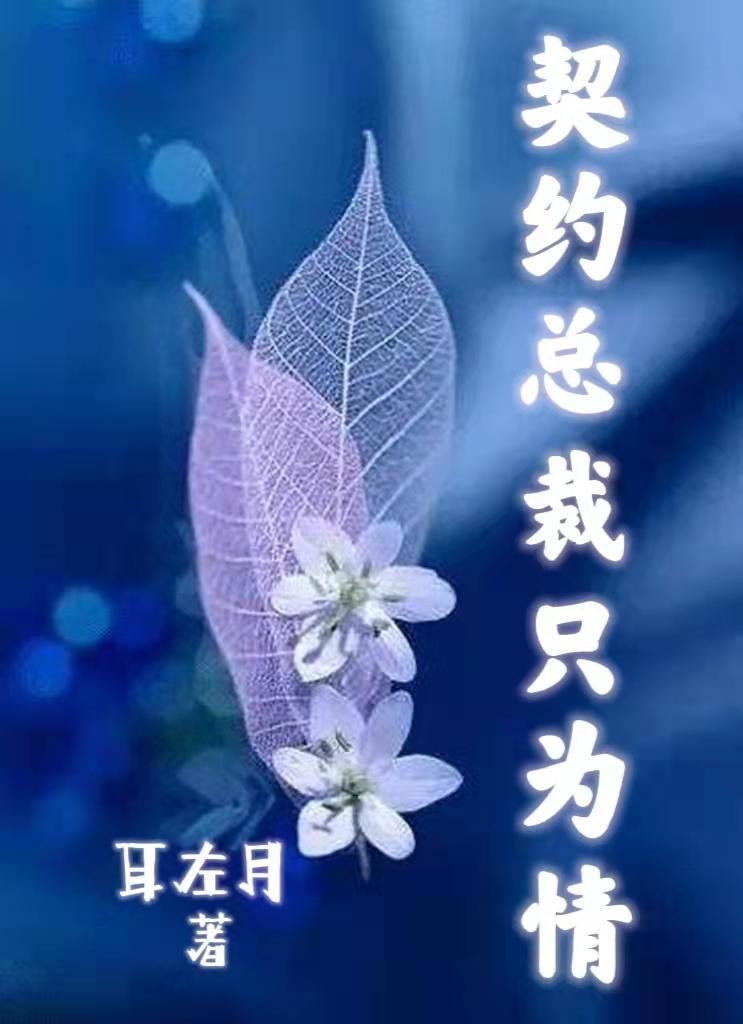 契约的总裁文
