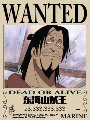 我东海山贼王在线阅读