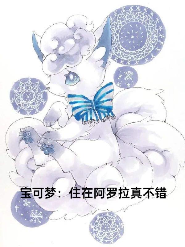 精灵宝可梦之阿罗拉的夜晚
