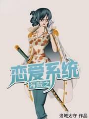 海贼之恋爱系统 百度