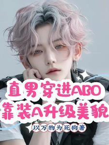 直男穿越到晋江