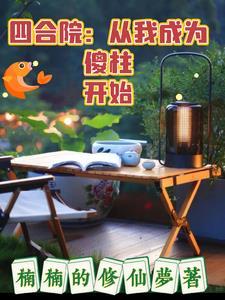 从四合院的傻柱开始