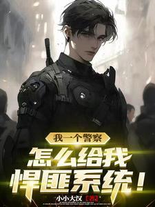 港综警察悍匪系统