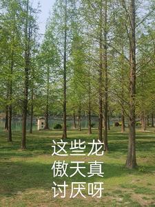这个龙傲天软萌