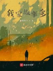 我家故事多系列