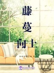 藤蔓什么