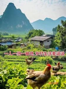 免费阅读最强小神医