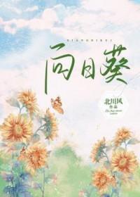 向日葵几月份开花