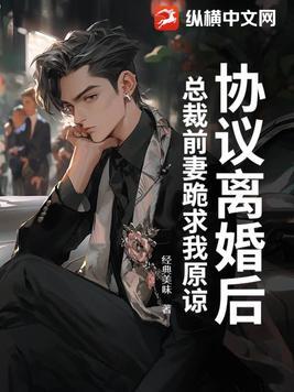 总裁前妻求复婚