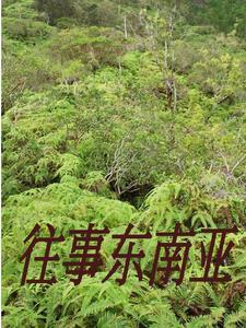 身陷缅北犯罪集团的中国人