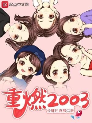 重燃2003无防盗精校版