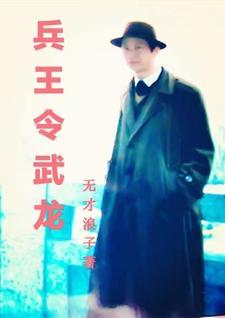 兵王龙元