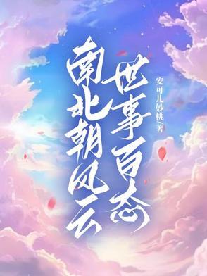 南北朝风云这本书怎么样