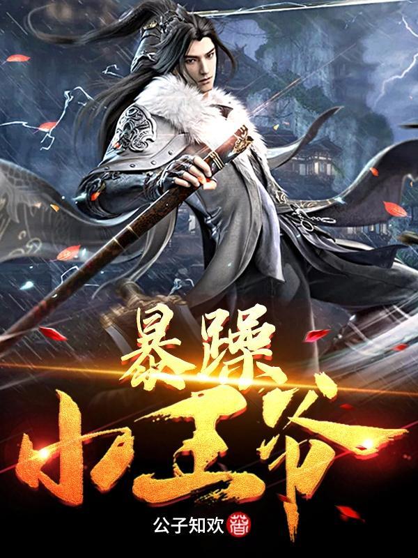 暴躁小王妃